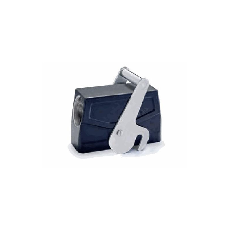 Capot 24B, Aluminium moulé sous pression, acier inoxydable, IP67, Sortie horizontale, PG29